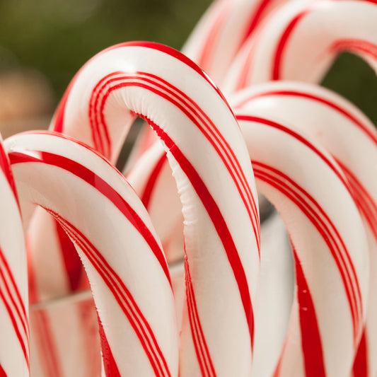 Give the gift of Freeze Dried this Christmas